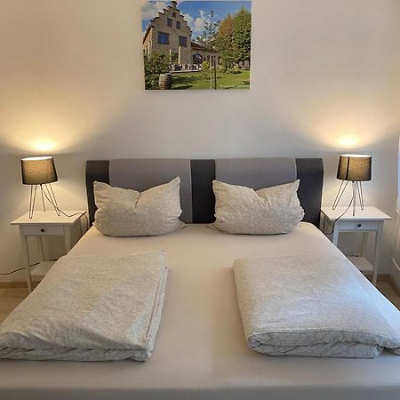 Ferienwohnung Stiegel 英格海姆莱茵 外观 照片